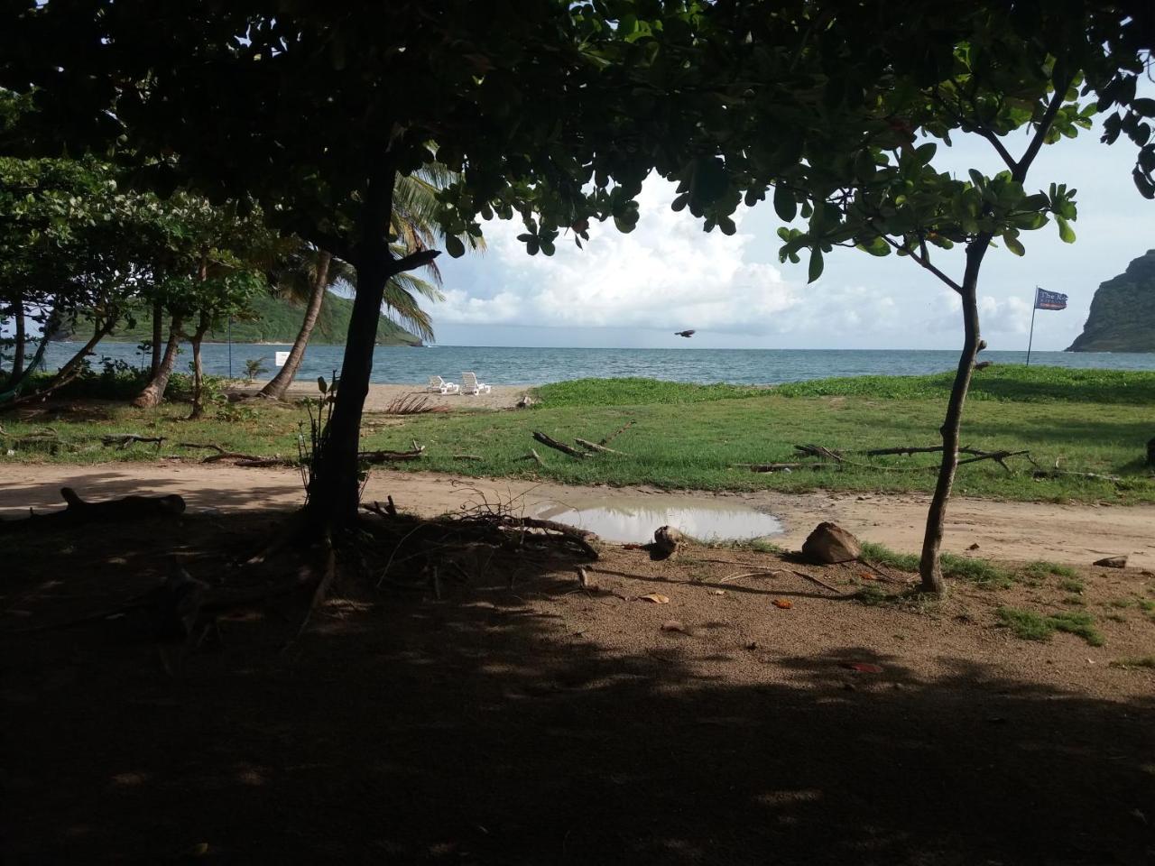 The Reef Beach Huts Hotel Vieux Fort Eksteriør billede